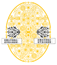 將圖片載入圖庫檢視器 能量之門 The Portal Powerforms